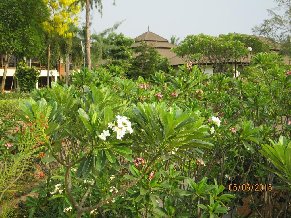 Aye Yar River View Resort Bagan Extérieur photo